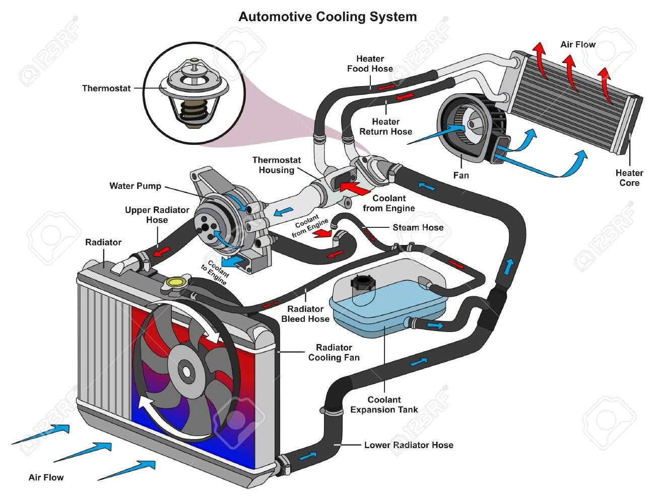 Automotive cooling system diagram showing coolant flow, radiator, water pump, thermostat, and engine cooling components.