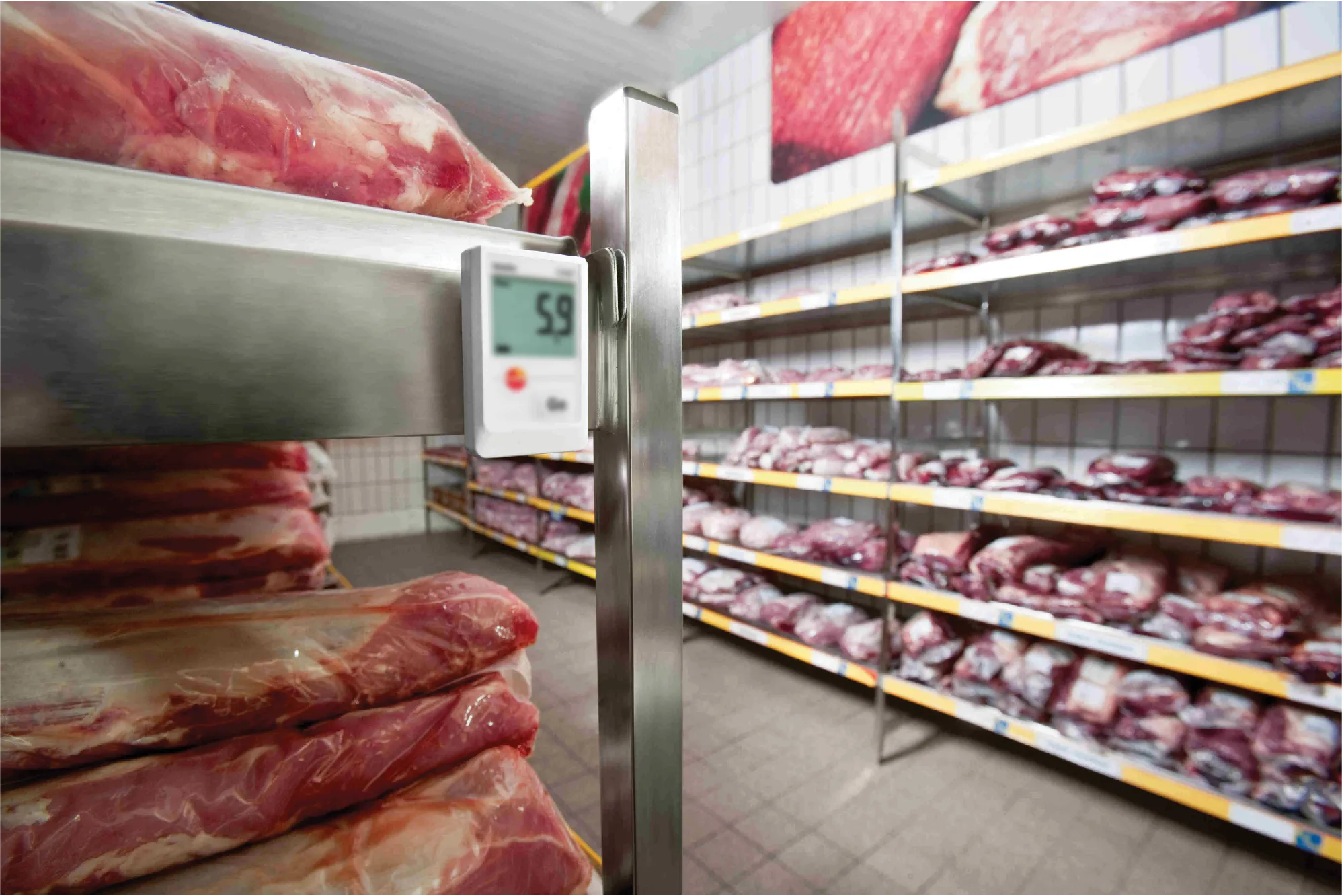 IoT temperature monitoring dashboard tracking cold chain conditions for meat and seafood logistics in India